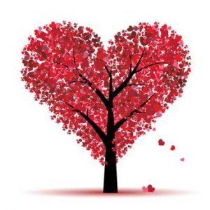 Valentijn special Beauty Salon Lian